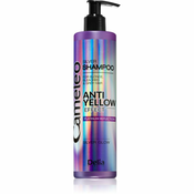 Delia Cosmetics Cameleo BB Ĺˇampon nevtralizira rumene odtenke 250 ml