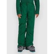 ONeill FwcCruz Kids Pants emerald envy