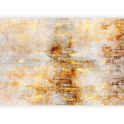 artgeist Fototapeta Golden Expression, 300x210cm