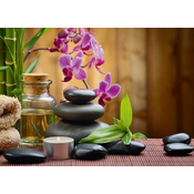 Alipson Puzzle - Puzzle Zen 500 alipson - 500 kosov