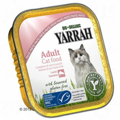 6x100g Yarrah Bio Wellness Pâté za mačke - Losos z morskimi algami