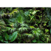 artgeist Fototapeta Sunny Jungle, 400x280cm