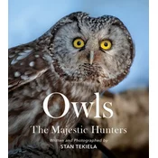 Owls