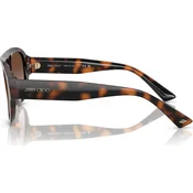 Jimmy Choo Naocare za sunce JC 5027 500213