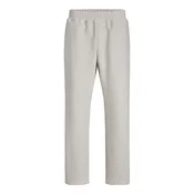JACK & JONES Hlače JPSTBill Barron svetlo siva