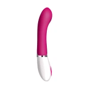 Vibrator Daniel