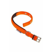 Ferplast Ovratnica najlon DAYTONA C 53cmx25mm oranžna FP 1 kos
