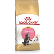ROYAL ROYAL CANIN Maine Coon Kitten - Suha hrana za mačke - 4 kg