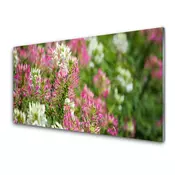tulup.si Slika na akrilnem steklu Cvetje wildflowers travnik narava 2 obešalnika