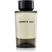Kenneth Cole For Him toaletna voda za moške 100 ml