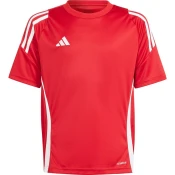Adidas Majice obutev za trening rdeča S IS1030