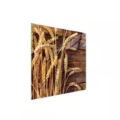 shumee STEKLENA ZAŠČITNA PLOŠČA ZA ŠTEDILNIK 50x52 WHEAT
