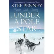 Under a Pole Star