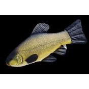 Riba - igrača GABY The Tench 60 cm - linj | GP-175716