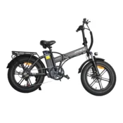 BAOLUJIE Električno kolo BAOLUJIE GPS-DZ2002 48V16Ah, integrirana kolesa, črna, (5000255705)