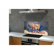 tulup.si Stenska plošča za kuhinjo Yorkie 125x50 cm