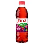 LEDENI CAJ JANA ŠUMSKO VOCE 0,5L