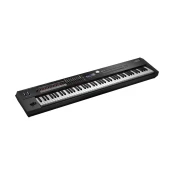 Digitalni stage pianino premium črn RD-2000 Roland