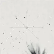 Linalab - Desire Paths (LP)