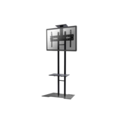 Newstar Monitor/TV Floor Stand for 32-55 screen, Height Adjustable - Black
