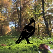 Aberto Design Dekorativna figura Bird 01, 50x27 cm, 1.5 mm