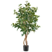 Ukrasna Biljka 110cm Ficus Benjamina