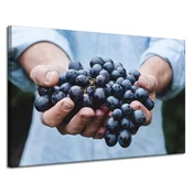 shumee Platno s potiskom Kuhinjski grozd 120x80 cm