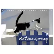 Katzensprung (Tischkalender 2026 DIN A5 quer), CALVENDO Monatskalender
