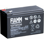 FIAMM akumulator 12FGH36