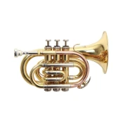 Trobenta-pocket Bb PT-302 Roy Benson RB701.020