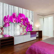 Foto tapeta - Violet orchids with water reflexion 300x231