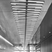 Vibia LED viseča svetilka RHYTHM, sivo-rjava 199 x 87 cm 927 dim - Dnevna soba/jedilnica - Dizajn - Kovina