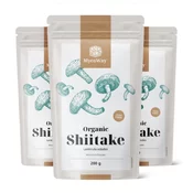 3x BIO Shiitake v prahu, skupaj 600 g