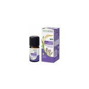 Naturative Organic Thyme Essential Oil A Thyme 5ml