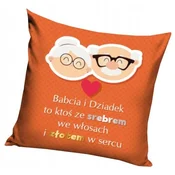 Carbotex PREVLEKA ZA VZGLAVNIK 40x40 DARILO ZA DAN BABIČEV IN DEDKIH STARŠEV W06A