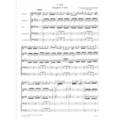 MOZART:DIE ZAUBERFLOTE JUNIOR STRING ORCHESTRA
