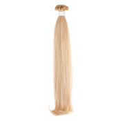 SEISETA Prirodna kosa za nado gadnju, Keratin, 50/55cm, 24 Ash Blonde, 10 pramenova