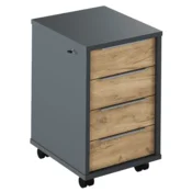 eoshop Posoda s ključavnico, grafit/hrast obrtnik, RIOMA NOVA VRSTA 30