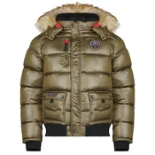 Geographical Norway BUGS Kaki