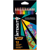 Olovke u boji BIC - Intensity, 12 boja