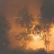 Watchhouse - Blindfaller (LP)