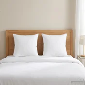 vidaXL Vzglavnik 2 kos 65 x 65 cm Avstralska volna Bela