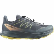 Salomon ALPHARIDE 2 GTX W, ženske patike za trail trcanje, siva L49128600
