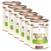 Terra Canis ?Light Beef with pumpkin, mango & artichoke 6 x 400 g