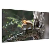 shumee Platno s sliko Živali Veverica 120x70 cm