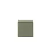 Boxie 1 vratna stenska omara 40x40x37 cm zelena