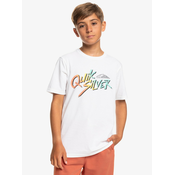 Boys t-shirt Quiksilver SIGNATURE MOVE