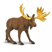 Safari Močvirski mah