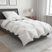 vidaXL 90% Gosji puh set odej FULDA 2 pcs 140 x 200 cm Zima 300 GSM