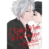I Didn't Mean to Fall in Love -Double-
